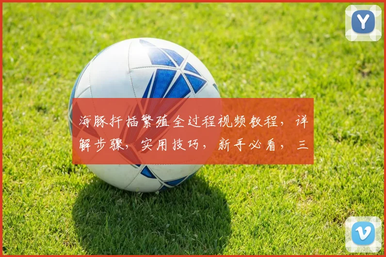 海豚扦插繁殖全过程视频教程，详解步骤，实用技巧，新手必看，三步学会