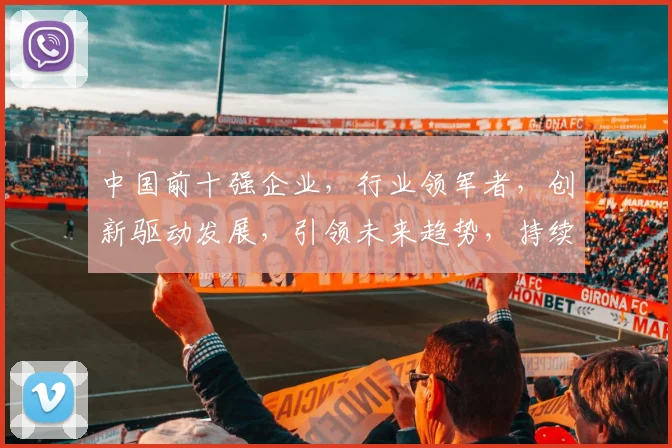 中国前十强企业，行业领军者，创新驱动发展，引领未来趋势，持续关注。